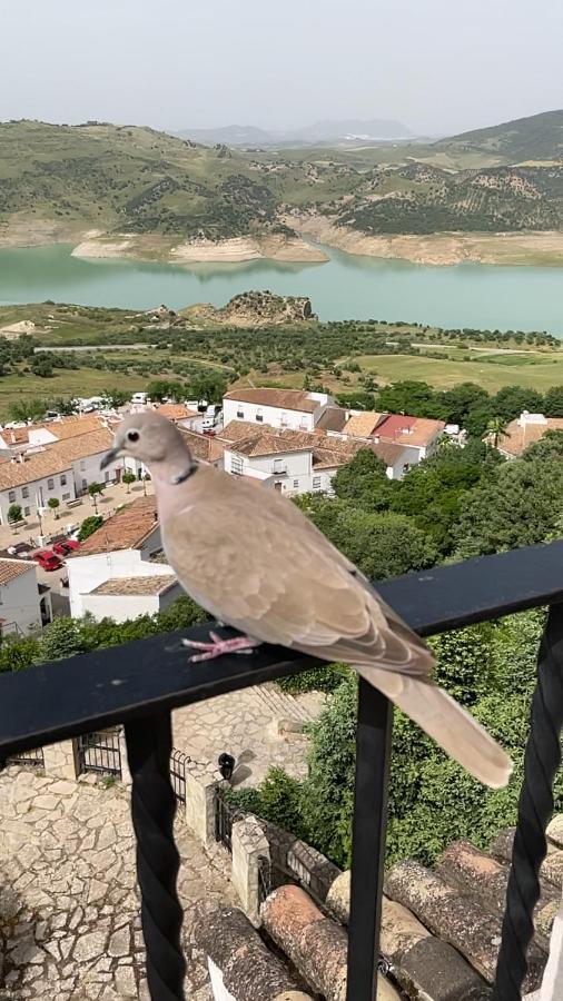 El Oasis Villa Algodonales Buitenkant foto